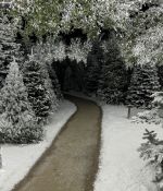 IMG_8914~0.jpeg