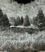 IMG_8916~0.jpeg