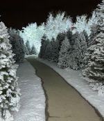IMG_8917~0.jpeg