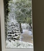 IMG_9335.jpeg