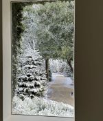 IMG_9529.jpeg