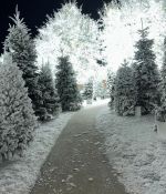 IMG_9531.jpeg