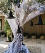 IMG_3279.jpeg