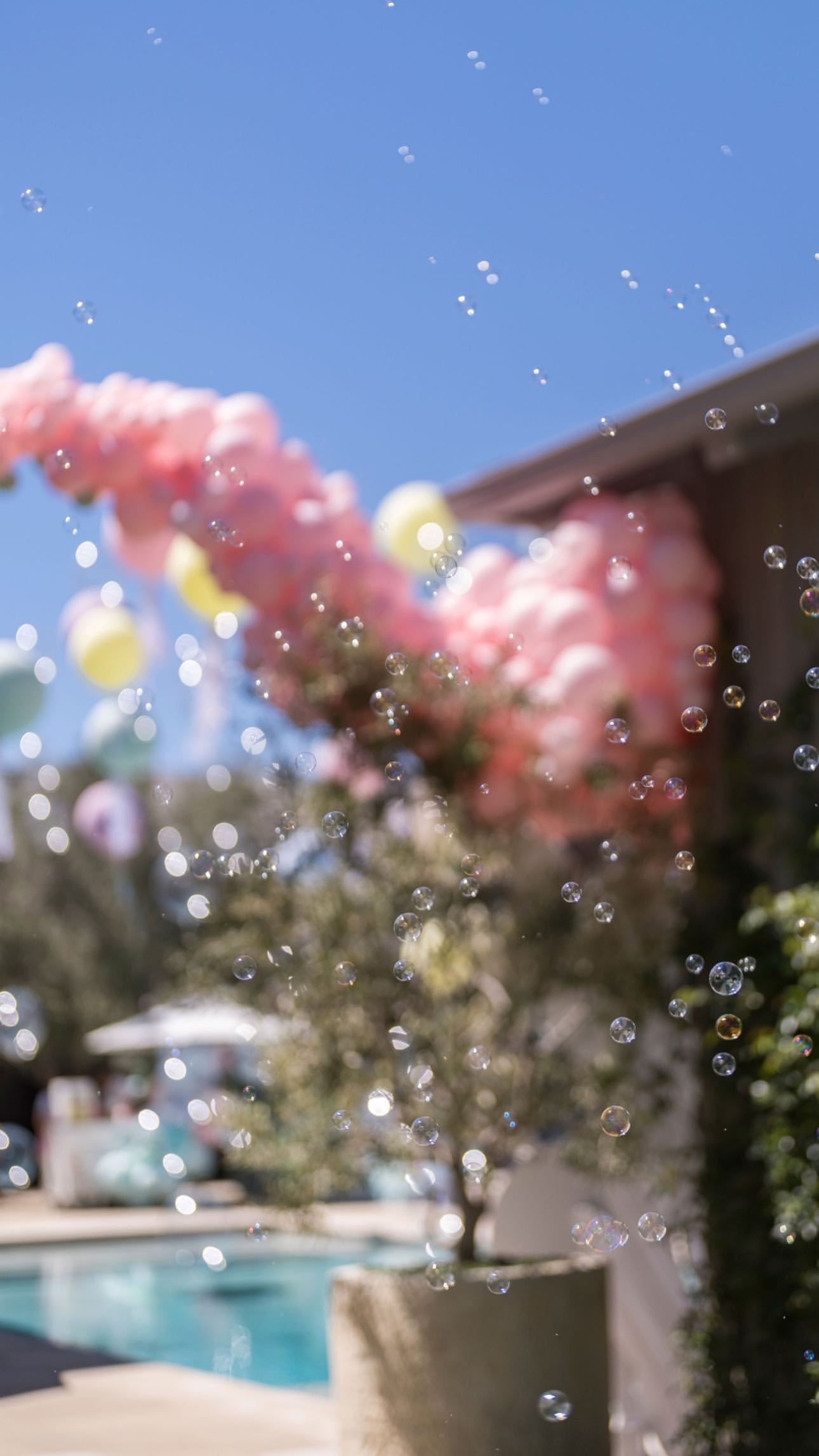 BE1D2386-8C4A-4C29-B842-8CA37F5AA462.jpeg
