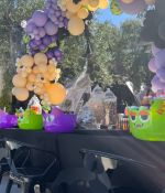 IMG_3214.jpeg