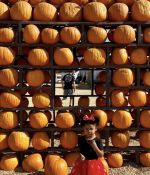 IMG_4377.jpeg