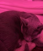 IMG_6310.jpeg