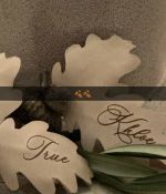 IMG_7066.jpeg
