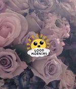 IMG_7103.jpeg