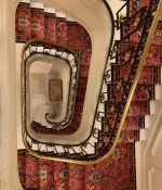 IMG_1513.jpeg