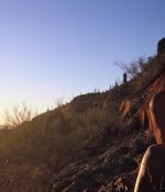 IMG_3043.jpeg