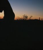 IMG_3050.jpeg