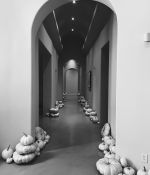 IMG_3503~0.jpeg