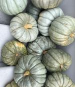 IMG_3507.jpeg