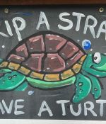 IMG_6115.jpeg