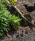 IMG_6117.jpeg