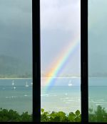 IMG_6452.jpeg