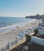 IMG_8309.jpeg