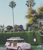 IMG_8313.jpeg