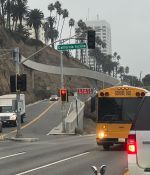 IMG_9593.jpeg