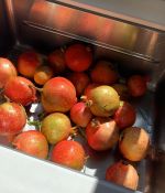 IMG_9594.jpeg