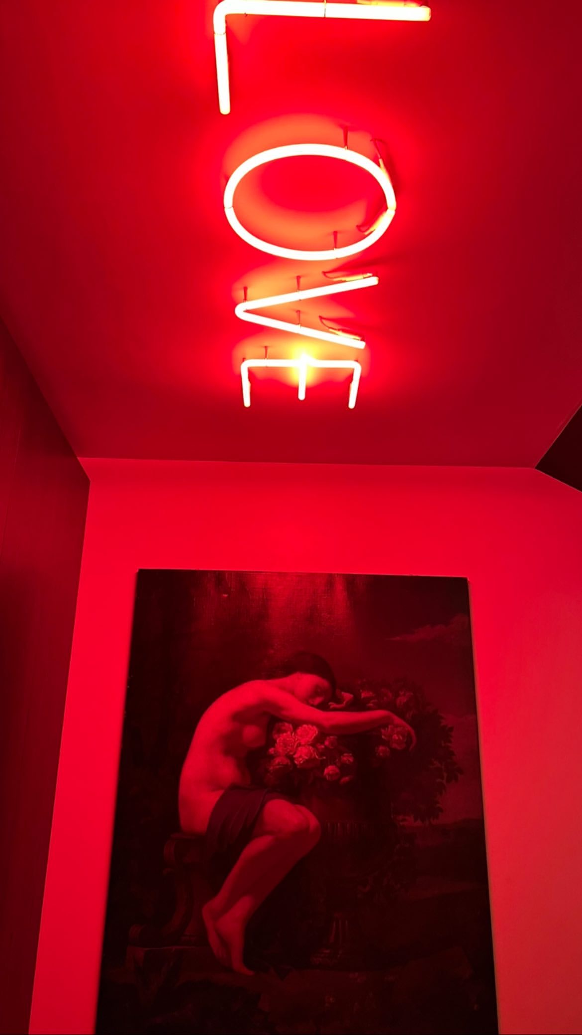 00120A8D-49D4-42D6-A005-4E2916B4DF38.jpeg