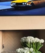 IMG_1505.jpeg