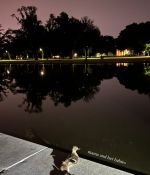 IMG_2639.jpeg