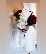 IMG_2733.jpeg