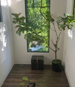 IMG_3263.jpeg
