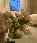 IMG_3477.jpeg