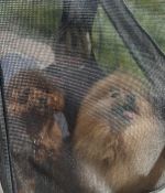 IMG_4895.jpeg
