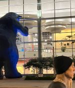 IMG_5306.jpeg