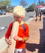 IMG_7027.jpeg