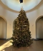 IMG_7772.jpeg