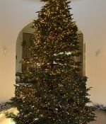 IMG_7880.jpeg