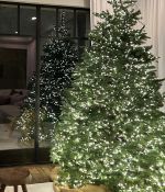 IMG_7948.jpeg