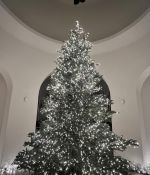 IMG_8231.jpeg