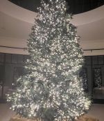 IMG_8358.jpeg