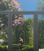 IMG_8422.jpeg