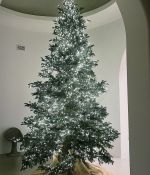 IMG_9602.jpeg