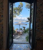 IMG_0208.jpeg