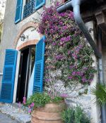 IMG_0234.jpeg