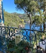IMG_0236.jpeg