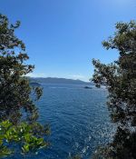 IMG_0241.jpeg