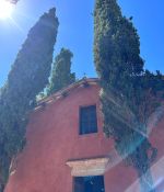 IMG_0511.jpeg