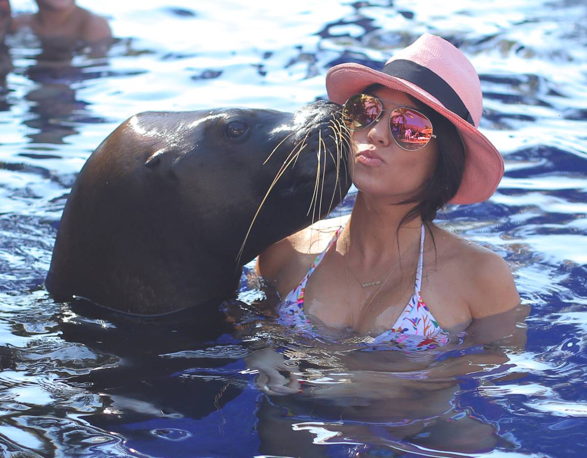 Access_Kardashian_003.jpg