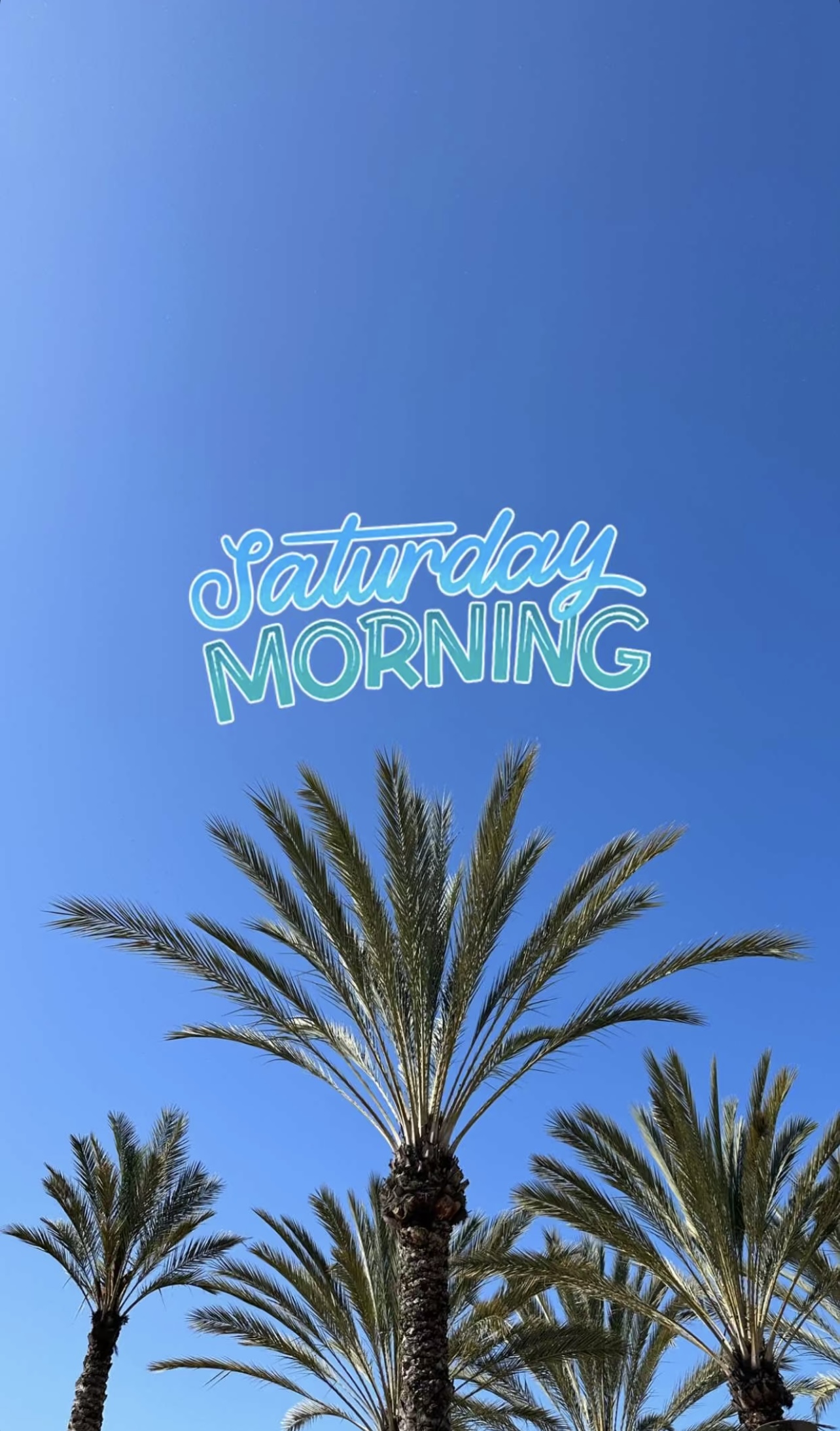 8E3047F0-9220-49E9-BF2E-2E127D08491E.jpeg