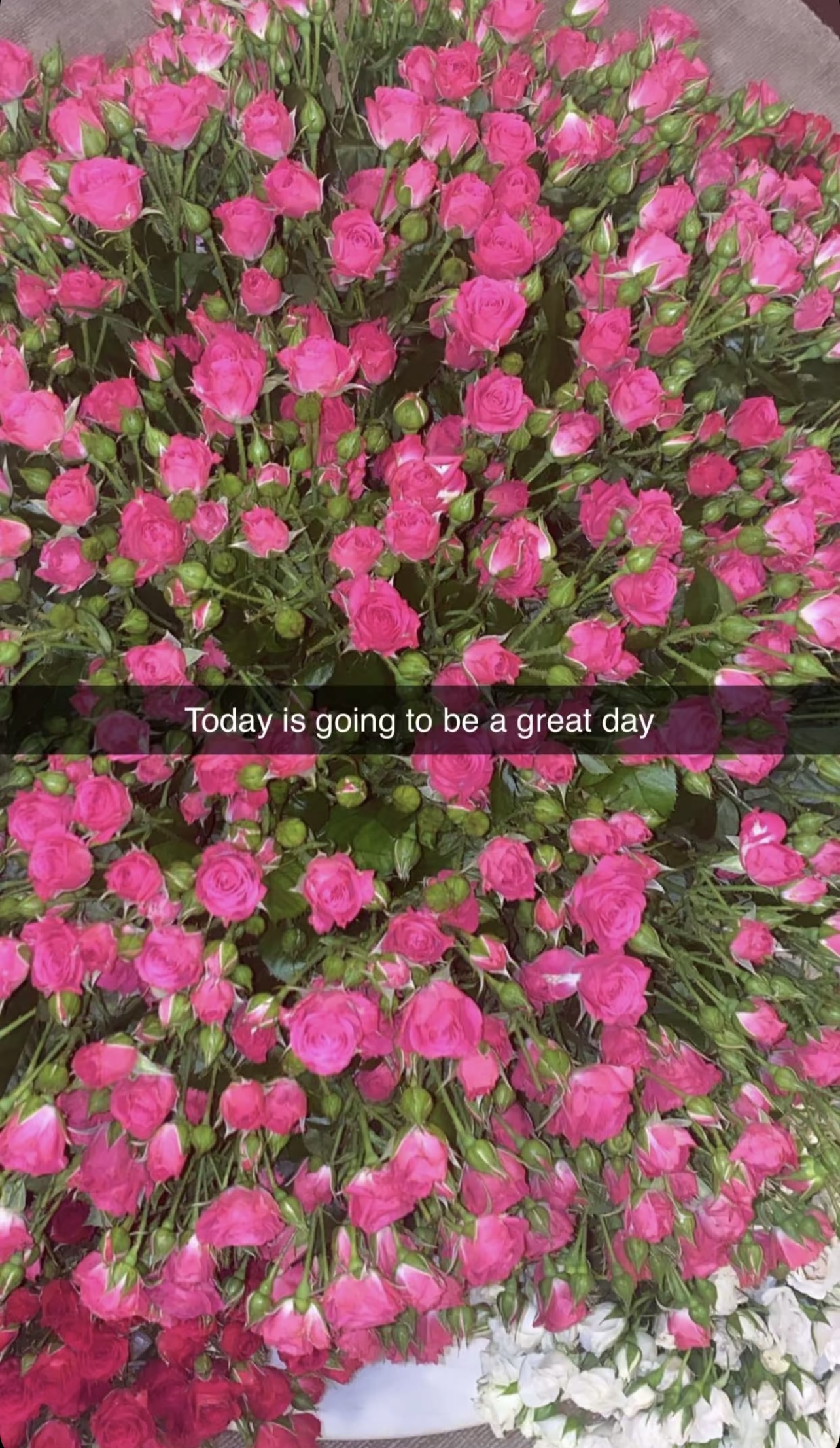 IMG_4066.jpeg