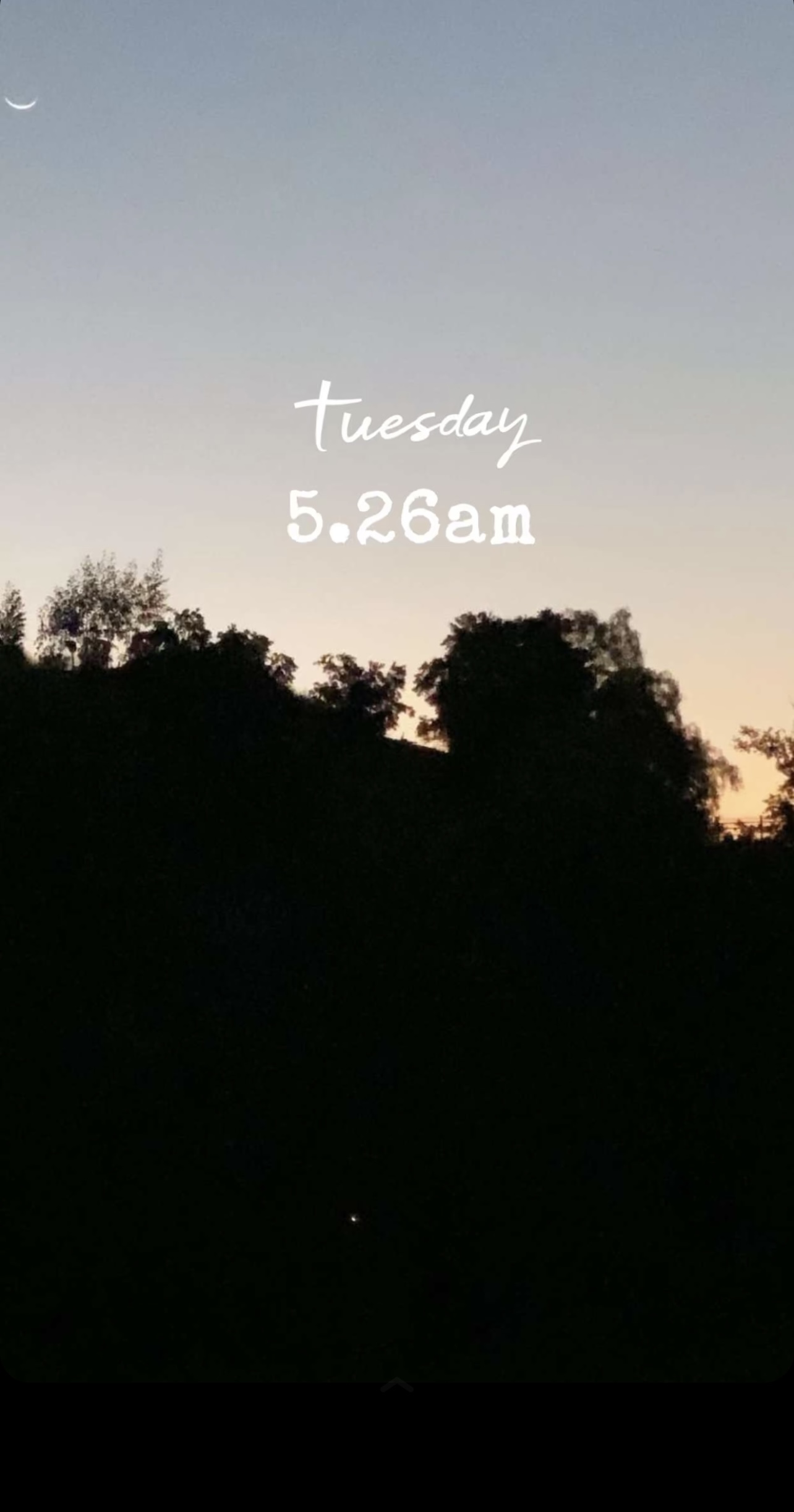 IMG_8081.jpeg